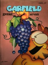 Garfield grote stripboeken